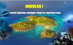 Tout sur le Baptême de plongée en Guadeloupe dans la Réserve Cousteau