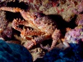 ARAIGN_E1 - Copie ARAIGN_E1 - Copie