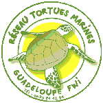 membre réseau tortues marines guadeloupe