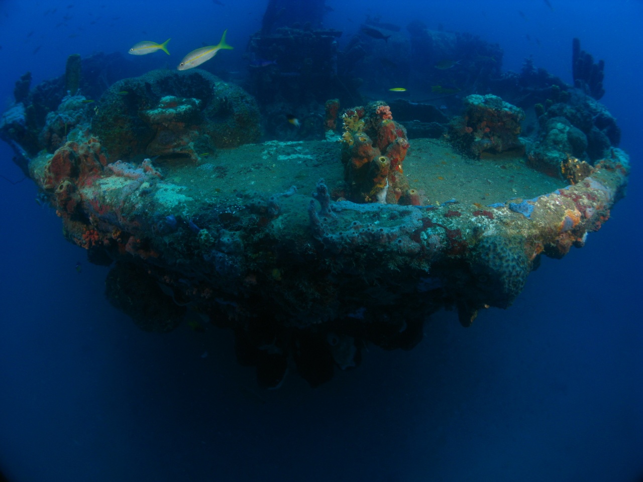 le gustavia le gustavia