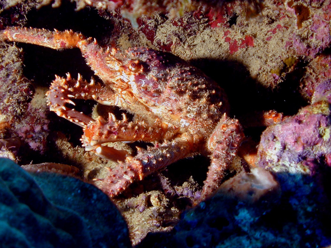 ARAIGN_E1 - Copie ARAIGN_E1 - Copie